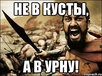 не в кусты, а в урну!, Мем Это Спарта