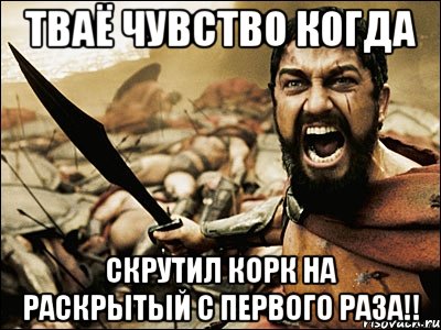 тваё чувство когда скрутил корк на раскрытый с первого раза!!, Мем Это Спарта