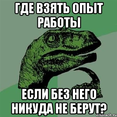 где взять опыт работы если без него никуда не берут?, Мем Филосораптор