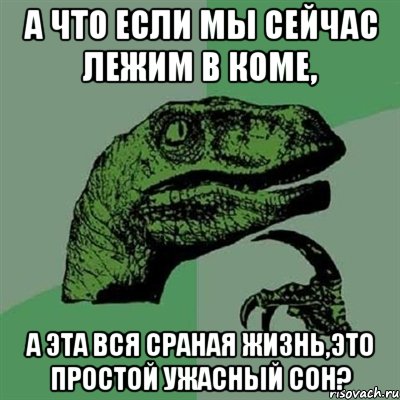 а что если мы сейчас лежим в коме, а эта вся сраная жизнь,это простой ужасный сон?, Мем Филосораптор