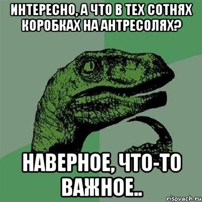 интересно, а что в тех сотнях коробках на антресолях? наверное, что-то важное.., Мем Филосораптор