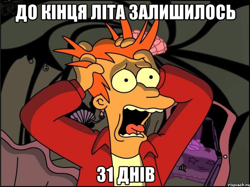 до кінця літа залишилось 31 днів, Мем Фрай в панике