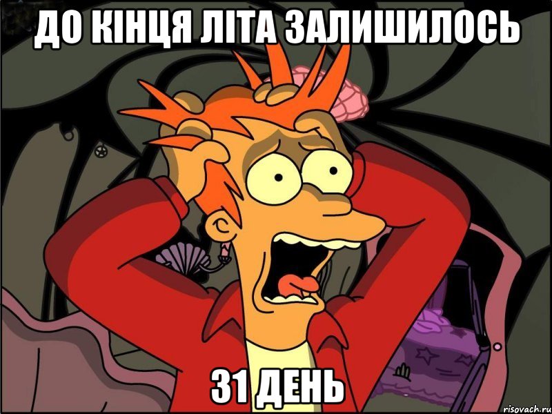 до кінця літа залишилось 31 день, Мем Фрай в панике