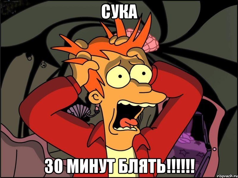 сука 30 минут блять!!!, Мем Фрай в панике