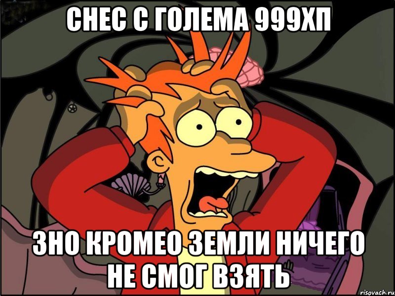 снес с голема 999хп 3но кромео земли ничего не смог взять, Мем Фрай в панике