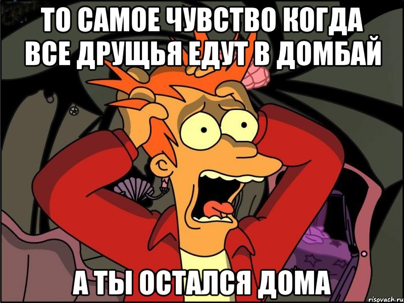 то самое чувство когда все друщья едут в домбай а ты остался дома, Мем Фрай в панике