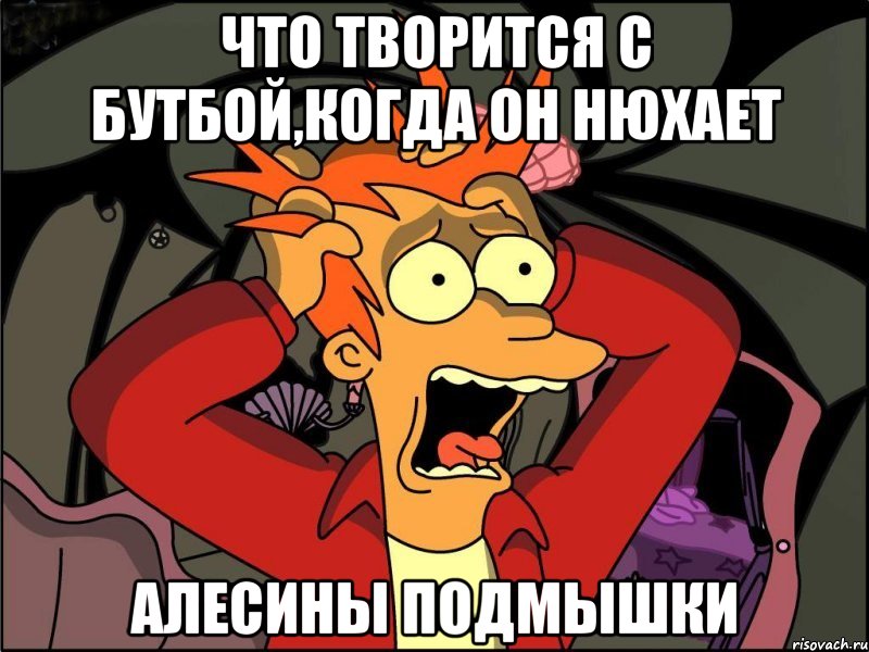 что творится с бутбой,когда он нюхает алесины подмышки, Мем Фрай в панике