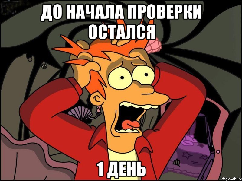 до начала проверки остался 1 день, Мем Фрай в панике