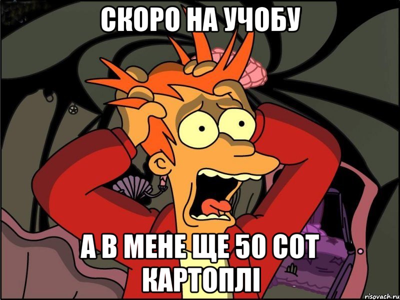 скоро на учобу а в мене ще 50 сот картоплі, Мем Фрай в панике