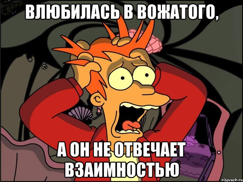 влюбилась в вожатого, а он не отвечает взаимностью, Мем Фрай в панике