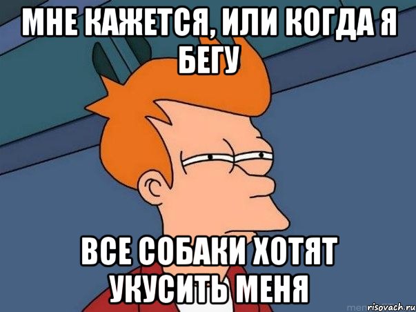 мне кажется, или когда я бегу все собаки хотят укусить меня, Мем  Фрай (мне кажется или)