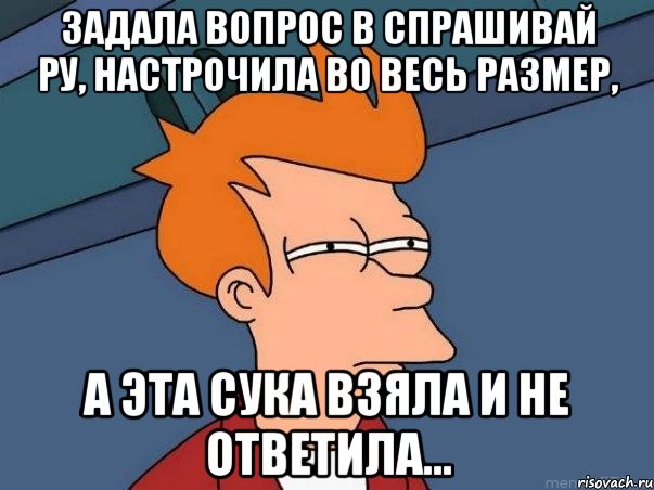 задала вопрос в спрашивай ру, настрочила во весь размер, а эта сука взяла и не ответила..., Мем  Фрай (мне кажется или)