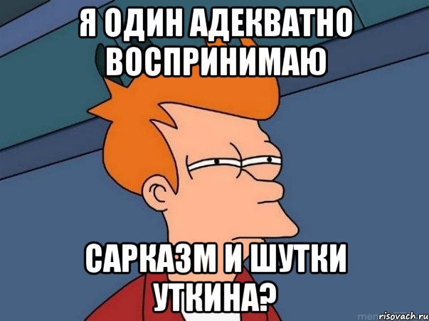 я один адекватно воспринимаю сарказм и шутки уткина?, Мем  Фрай (мне кажется или)