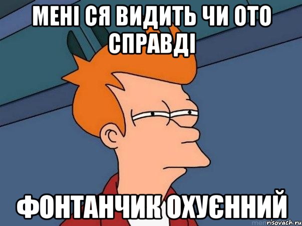 мені ся видить чи ото справді фонтанчик охуєнний, Мем  Фрай (мне кажется или)