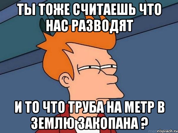 ты тоже считаешь что нас разводят и то что труба на метр в землю закопана ?, Мем  Фрай (мне кажется или)