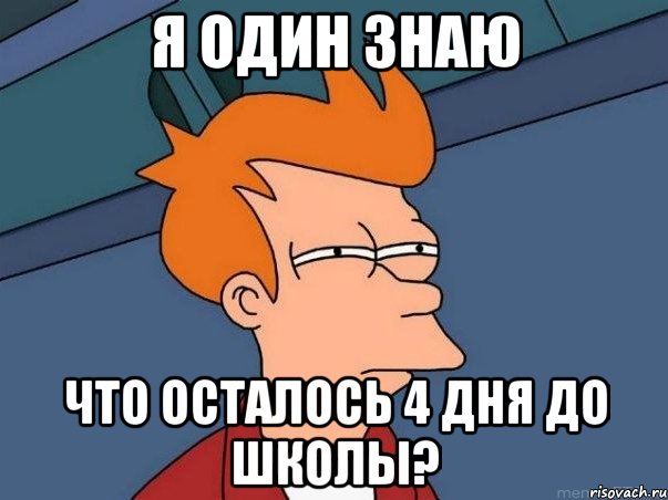 я один знаю что осталось 4 дня до школы?, Мем  Фрай (мне кажется или)