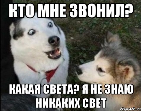 кто мне звонил? какая света? я не знаю никаких свет, Мем фыв