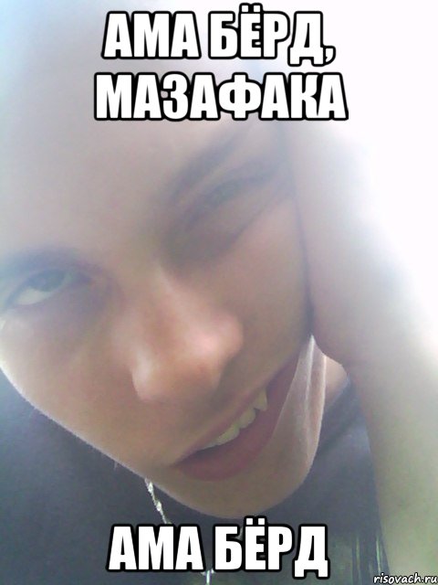 ама бёрд, мазафака ама бёрд, Мем фыв
