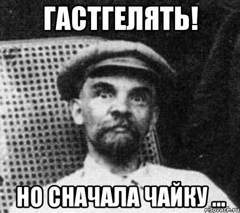 гастгелять! но сначала чайку ..., Мем гастгелять но сначала чайку