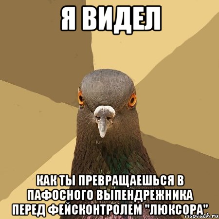 я видел как ты превращаешься в пафосного выпендрежника перед фейсконтролем "люксора", Мем голубь