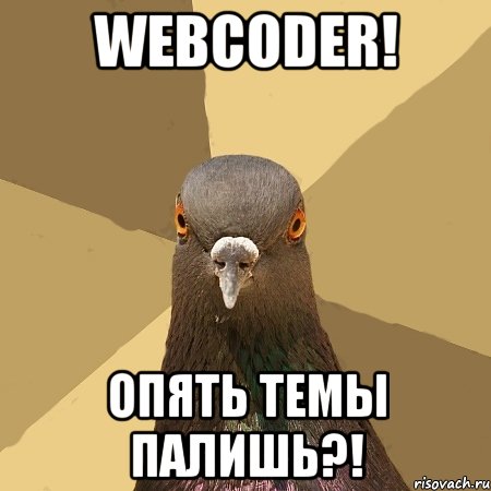 webcoder! опять темы палишь?!, Мем голубь