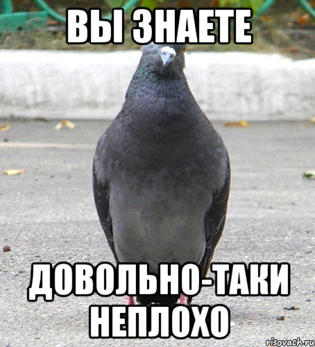 вы знаете довольно-таки неплохо