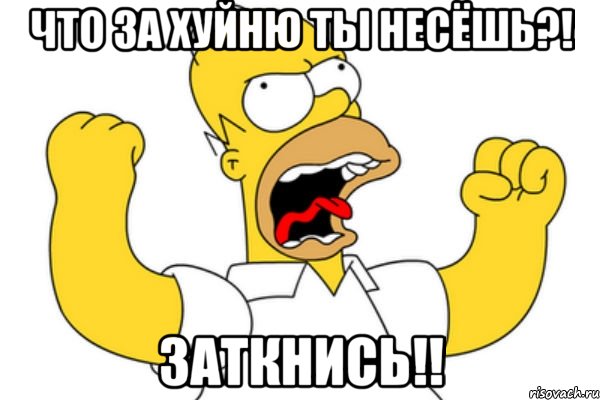 что за хуйню ты несёшь?! заткнись!!, Мем Разъяренный Гомер