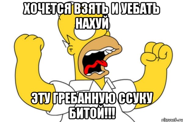 хочется взять и уебать нахуй эту гребанную ссуку битой!!!, Мем Разъяренный Гомер