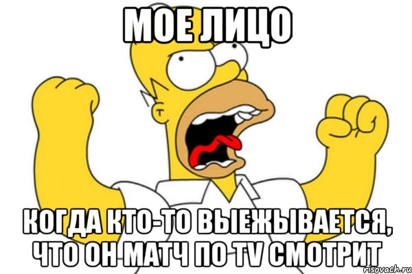 мое лицо когда кто-то выежывается, что он матч по tv смотрит, Мем Разъяренный Гомер