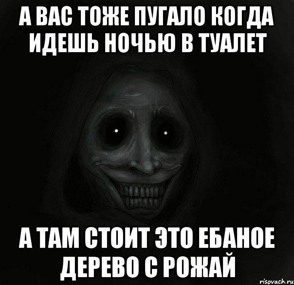 а вас тоже пугало когда идешь ночью в туалет а там стоит это ебаное дерево с рожай, Мем Ночной гость