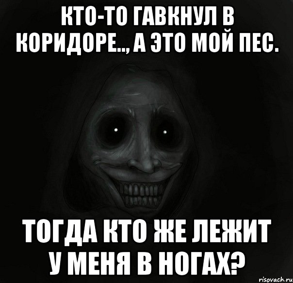 кто-то гавкнул в коридоре.., а это мой пес. тогда кто же лежит у меня в ногах?, Мем Ночной гость