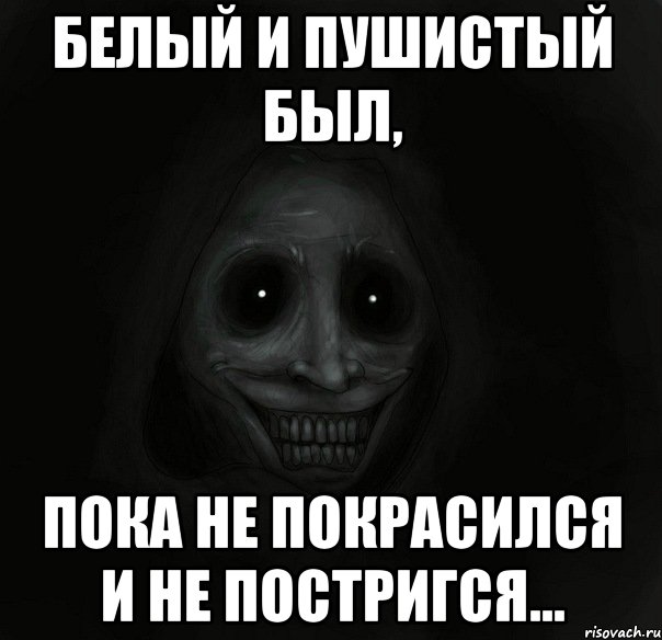 белый и пушистый был, пока не покрасился и не постригся..., Мем Ночной гость