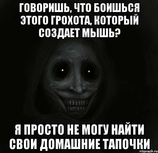 говоришь, что боишься этого грохота, который создает мышь? я просто не могу найти свои домашние тапочки, Мем Ночной гость