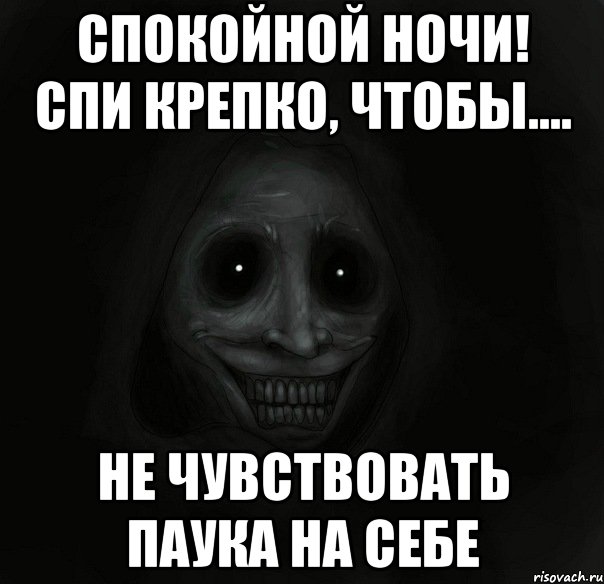 спокойной ночи! спи крепко, чтобы.... не чувствовать паука на себе, Мем Ночной гость