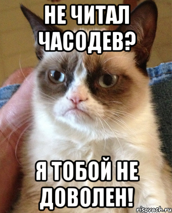 не читал часодев? я тобой не доволен!, Мем Grumpy Cat small