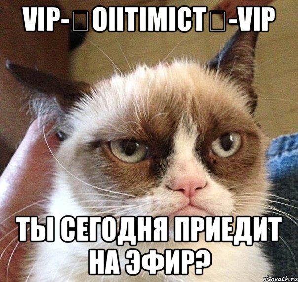 vip-★oiitimict★-vip ты сегодня приедит на эфир?, Мем Грустный (сварливый) кот