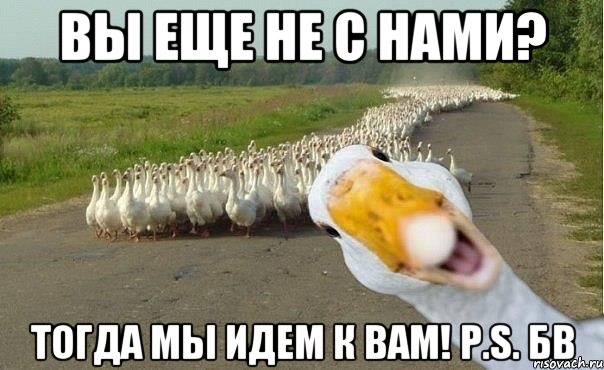 вы еще не с нами? тогда мы идем к вам! p.s. бв, Мем гуси