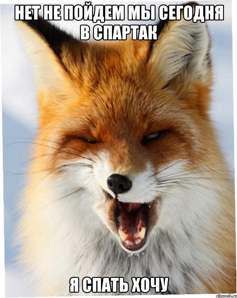 нет не пойдем мы сегодня в спартак я спать хочу