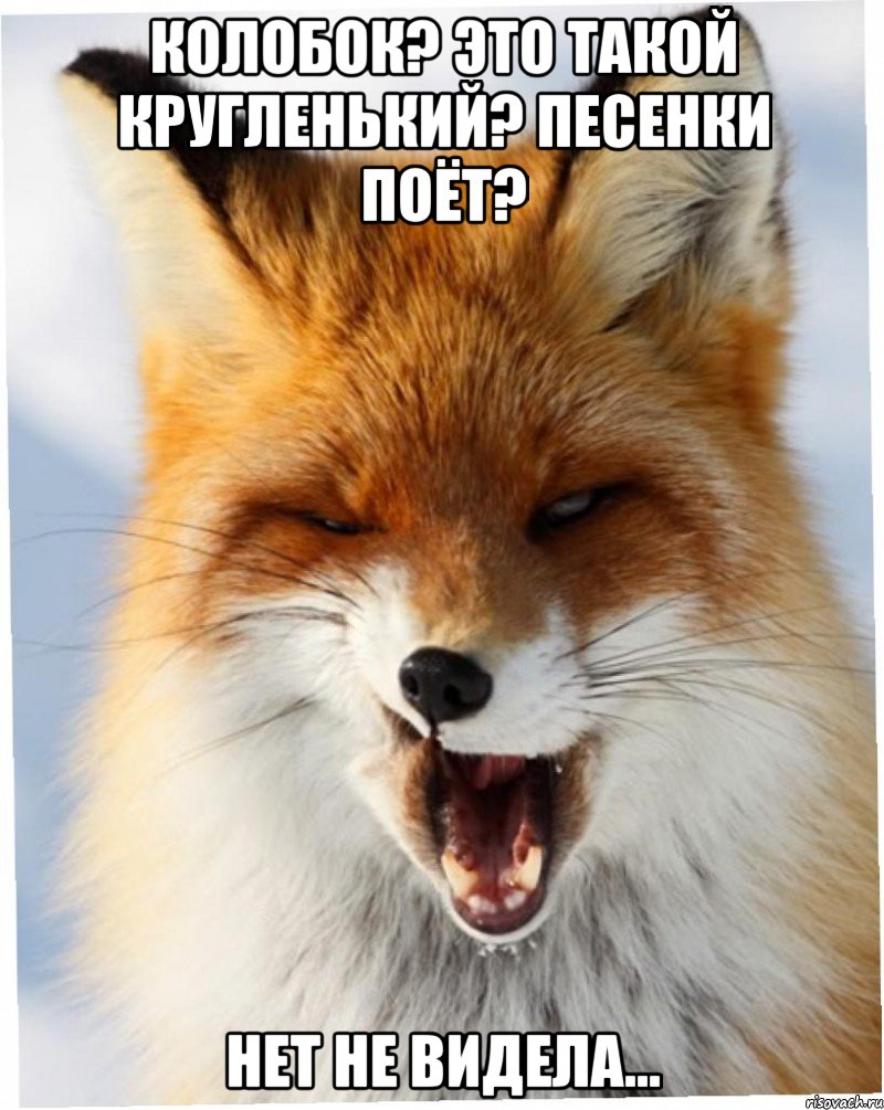 колобок? это такой кругленький? песенки поёт? нет не видела...