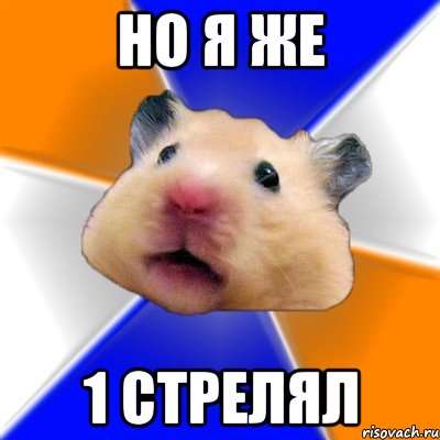 но я же 1 стрелял, Мем Хомяк