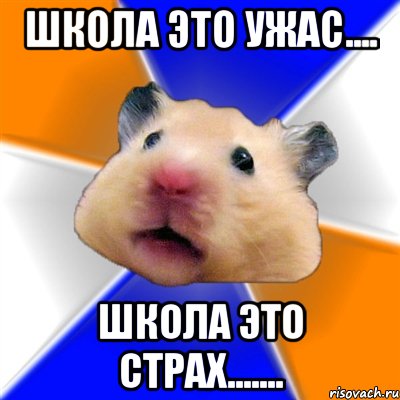 школа это ужас.... школа это страх......., Мем Хомяк