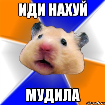 иди нахуй мудила, Мем Хомяк