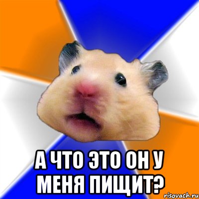  а что это он у меня пищит?, Мем Хомяк