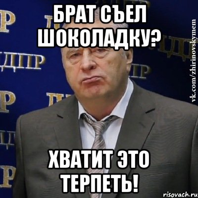 брат съел шоколадку? хватит это терпеть!, Мем Хватит это терпеть (Жириновский)