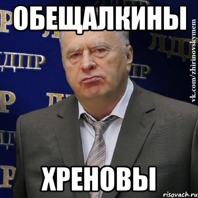 обещалкины хреновы, Мем Хватит это терпеть (Жириновский)