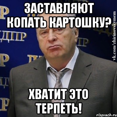 заставляют копать картошку? хватит это терпеть!, Мем Хватит это терпеть (Жириновский)