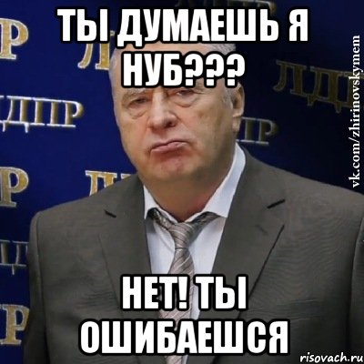 ты думаешь я нуб??? нет! ты ошибаешся, Мем Хватит это терпеть (Жириновский)
