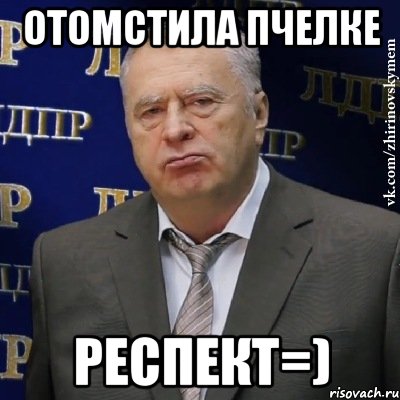 отомстила пчелке респект=), Мем Хватит это терпеть (Жириновский)