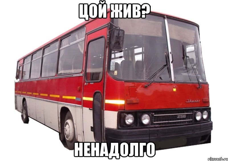 цой жив? ненадолго, Мем Икарус