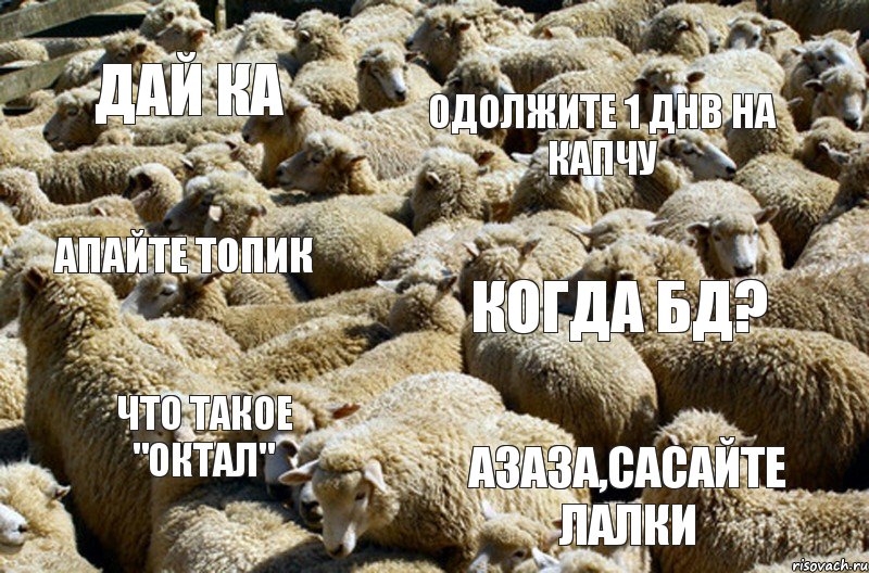 Дай КА Одолжите 1 днв на капчу Апайте топик Когда БД? Что такое "Октал" Азаза,сасайте лалки, Комикс Инди